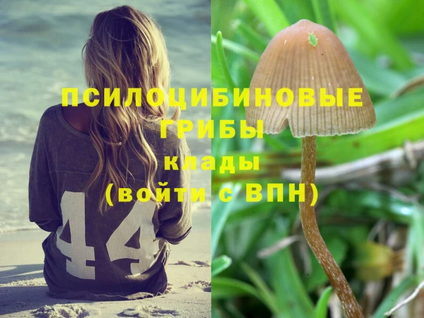 гашик Баксан